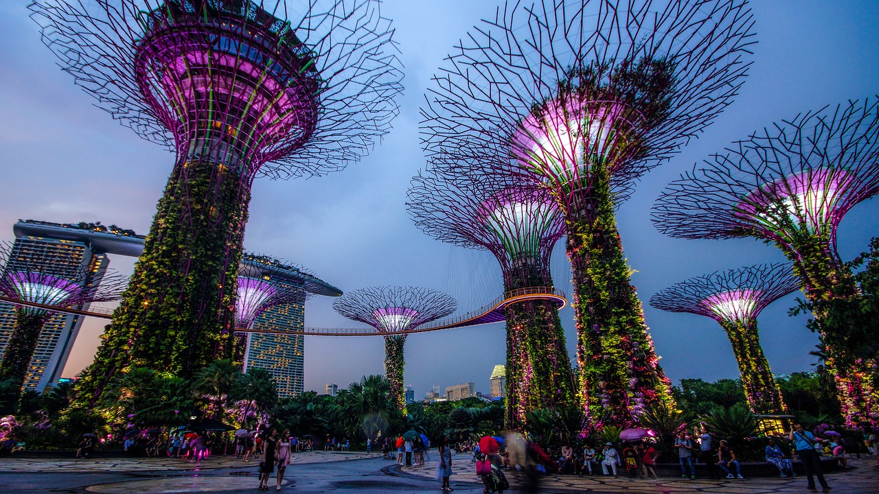 足球场上不一样的风景